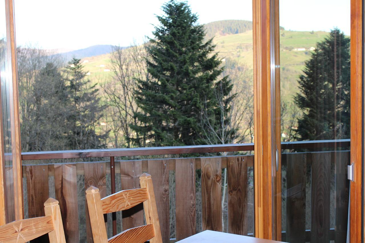 Chalet Les Bouleaux, La Montagne Des Lamas La Bresse Exterior foto